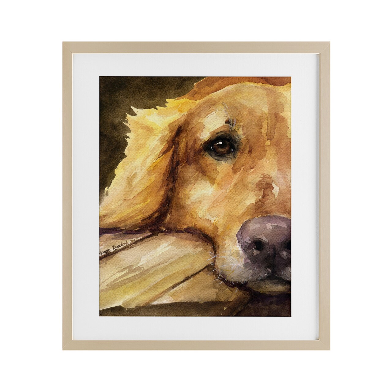 Stupell Industries Sight of Golden Retriever Framed Print Under Glass, design by George Dyachenko